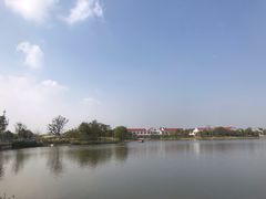 -上海长兴岛郊野公园