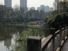 -重庆彩云湖湿地公园