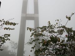 -南丹山森林王国
