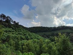 -火炉山森林公园