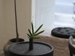 -你好独角兽·蛋糕甜品