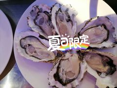 深海黄金蚝大个火锅-千岛蚝高压锅生蚝·人参火锅(白云万达店)