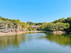 -广州莲花山旅游区