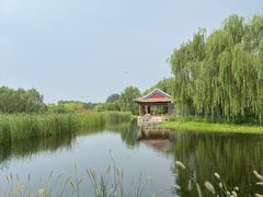 -张家湾公园