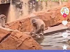 -昆明动物园