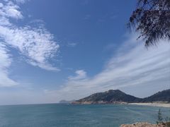 -广东惠东海龟国家级自然保护区