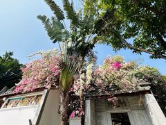 -深圳国际园林花卉博览园