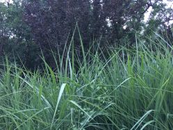 点击看大图 -大望京儿童游乐场