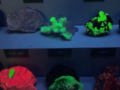 -湖南省地质博物馆