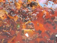 -鸽子侯·家宴·平价海鲜(市图书馆店)