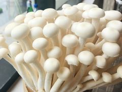 -斯普汇生蚝牛排馆(中骏世界城店)