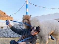-Blue Concept Cafe&Farm·關於藍