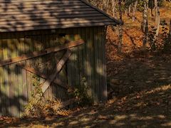 -羊亭河湿地公园