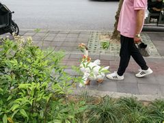 -上海市普陀区中心医院