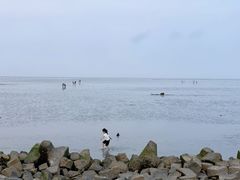 -南汇嘴观海公园