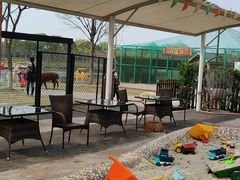 -太阳岛度假酒店