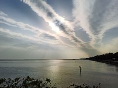 -贡湖湾湿地公园