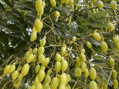 -南京市无想山景区