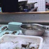 ##0元玩转这座城 吃肉不用愁，自助来一口