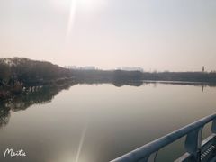 -大兴滨河森林公园