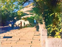 -府君山公园