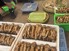 -鲜菌江湖正宗野生菌火锅