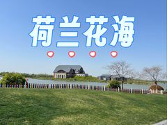 -荷兰花海