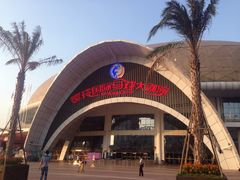 -灵玲国际马戏城