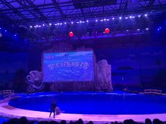 -华夏文旅海洋公园