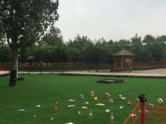 -北京鹿世界主题园
