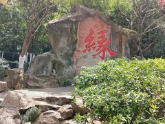 -杭州黄龙洞