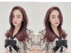 -Y-STUDIO原理