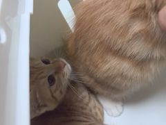 -嘉馨宠物医院·CT影像转诊·心脏科·犬猫全科诊疗中心(下沙大学城院区)