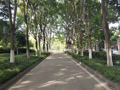 -后襄河公园