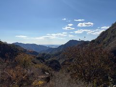 -大岭沟猕猴桃谷风景区