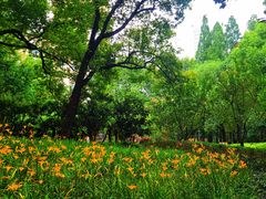 -徐家汇源景区-衡山公园