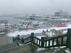 -小石岛景区