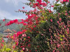 -水濂山森林公园