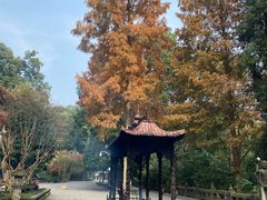 -都江堰普照寺
