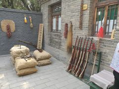 -白洋淀景区