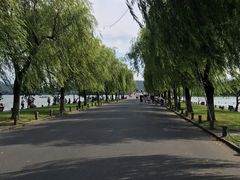 -西湖游船