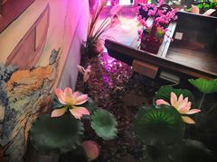 -韵秋荷(宝山龙湖天街店)