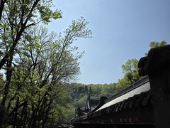 -灵顺寺