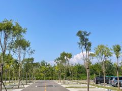 -爪吧宠物乐园·宠物泳池(温榆河示范区店)