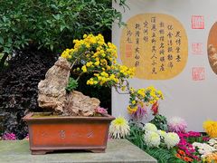 -杭州植物园