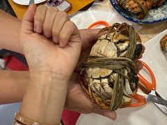 -朱胖子蟹行大闸蟹(定安里店)