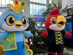 -德宏芒市国际机场