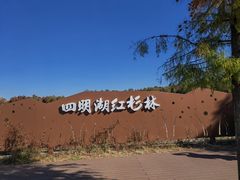 -四明湖