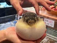 -大潮淮·淮扬菜(何园旗舰店)