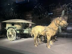 -秦始皇帝陵博物院(兵马俑)